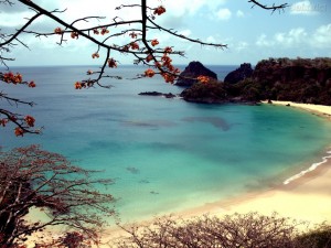 Fernando de Noronha Pontos Turísticos