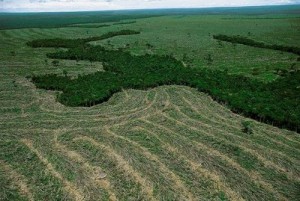 IMPACTOS AMBIENTAIS NA AMAZONIA