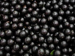 Jabuticaba prende o intestino