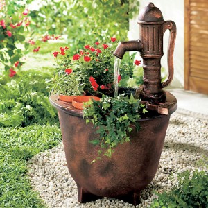 Plantas ornamentais para jardim