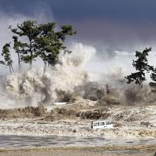 catastrofe tsunami