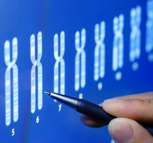 Biologia genética humana