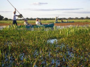 Estados onde se localiza o pantanal