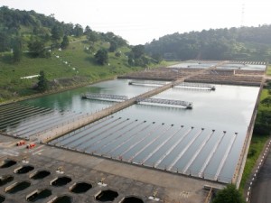 Tratamento da água