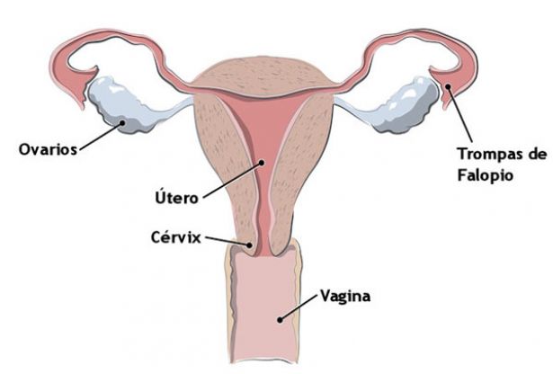 Faça a cirurgia somente se necessário. Veja se o seu caso, não possui tratamento. 