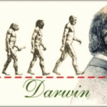 Evolução humana resumo