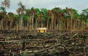 Desequilíbrios no meio ambiente