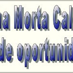 Rede Galinha Morta