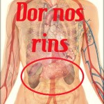 Dor nos rins: causas, sintomas, tratamento e prevenção.