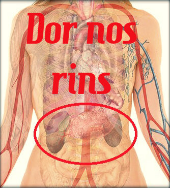 Dor nos rins: causas, sintomas, tratamento e prevenção.