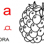 Ensine ao seu filho, quais são os estilos de frutas e como se escreve.