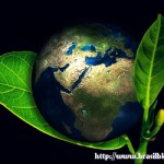 Consciência ambiental