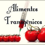 Alimentos Transgênicos