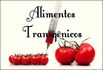 Alimentos Transgênicos