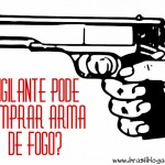Não tenha uma arma de fogo em vão.