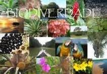 Biodiversidade. 