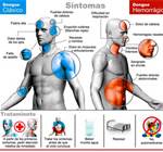 dengue sintomas2