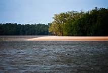 foz do rio amazonas