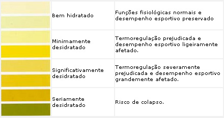 A urina pode ajudar a desvendar diversos tipos de doenças, por tanto, sempre que for ao médico, peça para que ele passe ao menos os exames de rotina, pois assim, saberás de verdade se precisa se preocupar com algo ou não. 