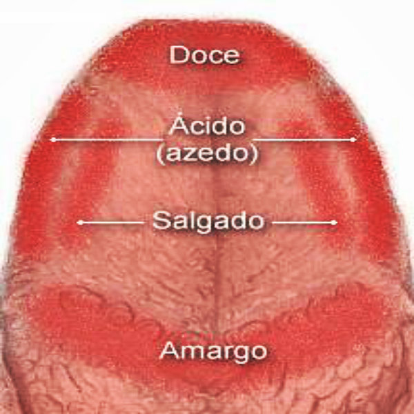 E preciso que haja uma escovação na língua, pois ela acarreta vários tipos de bactérias durante o dia. 