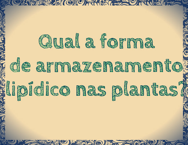 Saiba como se armazena a energia das plantas. 