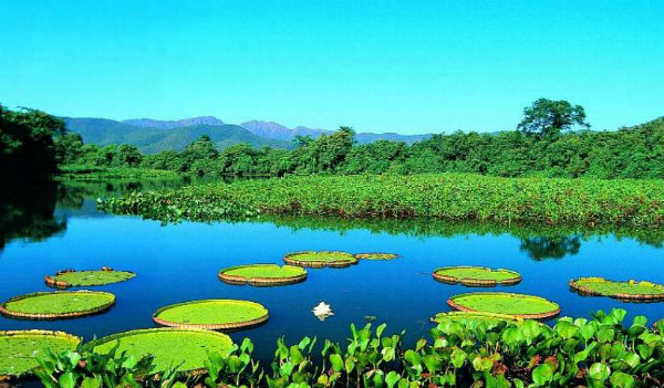 Beleza natural nacional. 