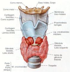 Foto Reprodução