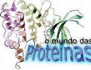 proteínas01