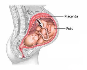 Tome cuidado, com aquelas doenças que por sua vez, podem ser desconhecidas, pois elas podem aferir o seu filho e a você. 