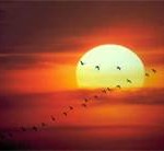 Qual é a verdadeira cor do sol