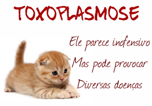 A toxoplasmose tem cura. 