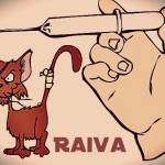 Tome cuidado com os animais.