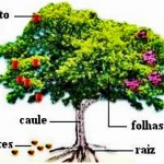 Cada um possui um desenvolvimento diferente.